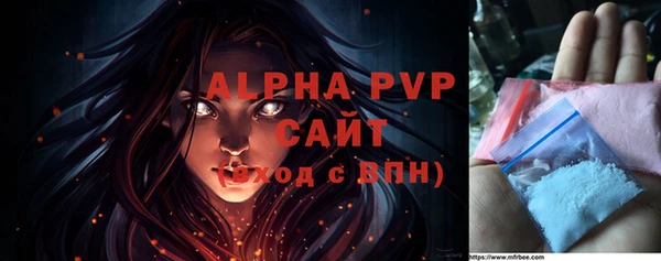 индика Кулебаки