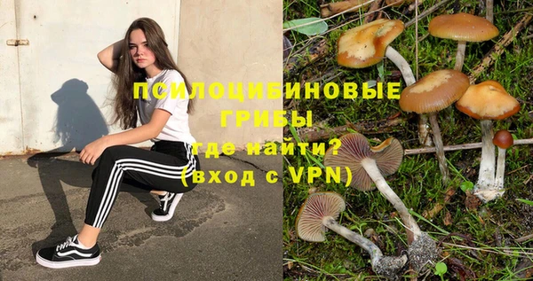 a pvp Краснослободск