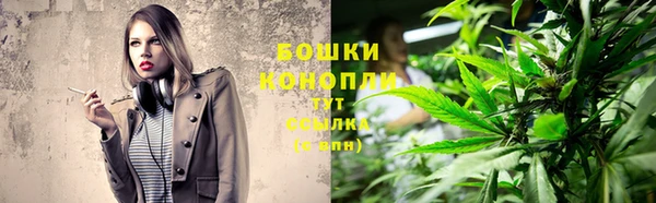 a pvp Краснослободск