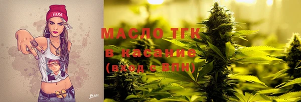индика Кулебаки